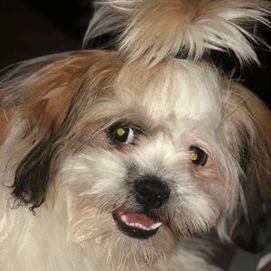 Meet your Posher, Maria